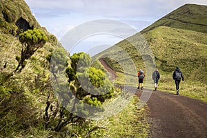 Group of hikers in the central highlands of São Jorge island, Azores