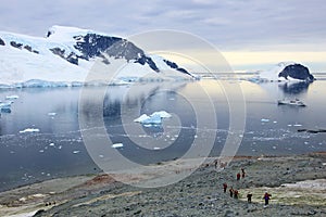 Group of hikers with gentoo penguins around, Antarctic Peninsula