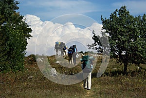 A group of hikers reach the top of a hill and go over to the horizon