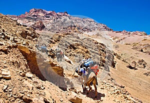 Group of hikers trekking in the Andes, Argentina