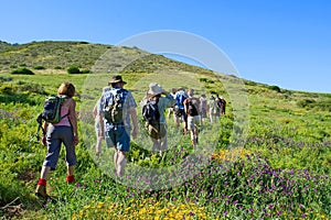 Group of hikers walks mountain rural landscape photo