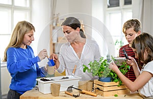 Group of homeschooling children with teacher planting herbs indoors, coronavirus concept. photo