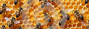 A group of honeybees sit on a yellow honeycomb in the beehive