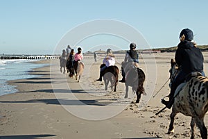 group of horse riders at the beach