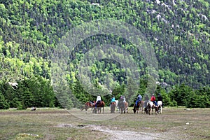 Group of horseback riders in Dyea, Alaska