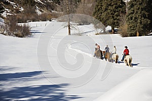 Group horseback riding. photo