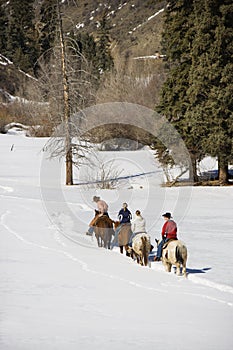 Group horseback riding. photo