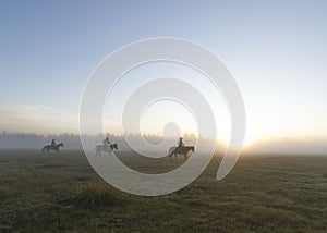 Group of horsemen in a grassy field with a foggy background during sunset