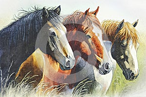 A group of horses standing together in a field, their heads close as they nuzzle each other affectionately, illustration