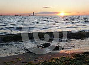 A group of horseshoe crabs overlooking the beautiful sunset near Cape Henlopen State Park, Lewes, Delaware, U.S photo