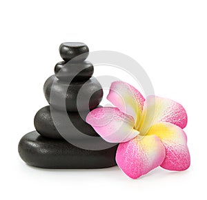 Group of hot stones and flower photo