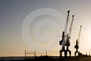 Group of huge sky cranes at sunset