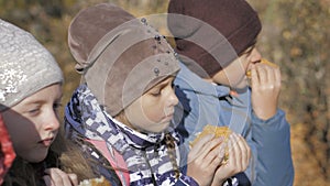 Group of hungry kids are eating burger outdoor in the park in sunny autumn day