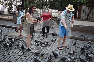 Group of hungry pigeons gather on street in old san juan puerto rico