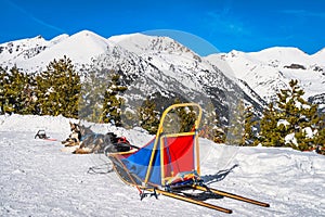 Group of Huskey in dog sledding, waiting for a ride, Andorra, Pyrenees