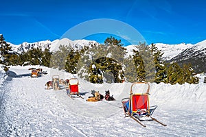 Group of Huskey in many dog sleds, waiting for a ride, Andorra, Pyrenees