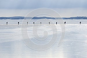 Group of ice skaters