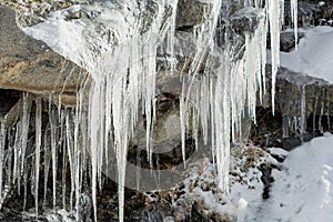 Group of icicles