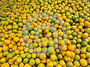 Group of Indian Oranges (Rutaceae) background image
