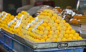 Group of Indian Sweet Bundi Laddu