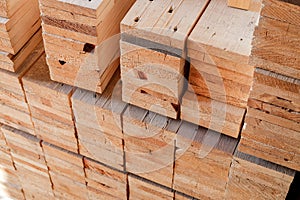 Group of industry wood processing chamcha wood material in warehouse