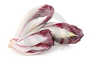 Group of isolated red endive