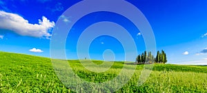 Group of italian cypresses near San Quirico dÂ´Orcia - aerial view - Beautiful landscape Scenery -  Val dâ€™Orcia, Tuscany, Italy