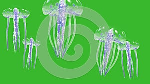 Group of Jellyfish Floats Sea Green Screen 3D Rendering Animation 4K