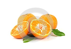 Group of juicy orange fruits with leaves on white background