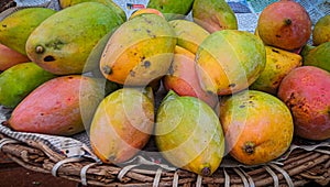 Group of Karnataka special Totapuri mangoes are ready for sale. photo