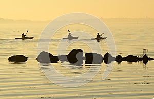 Group of kayak rowers on the sea