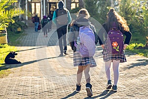 Group of kids going to school, education