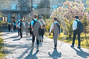 Group of kids going to school, education