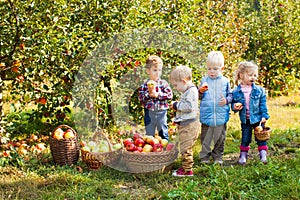 Group of kindergarten kids helping to pick apples