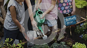 Group of kindergarten kids learning gardening outdoors