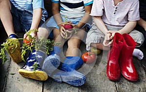 Group of kindergarten kids little farmers learning gardening