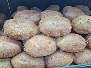 a group of kiwis at the fruit market