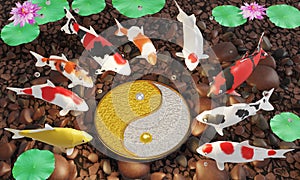 A group of koi or fancy crap swim in a circle. Surrounding the yin and yang signs conveys feng shui. The floor of the pond is full