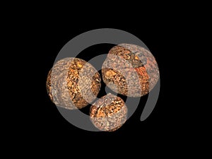 Group of Konjac Corm or Elephant yam on Black Background, Clipping Path
