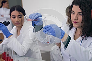 Group of  Laboratory scientists working at lab with test tubes, test or research in clinical laboratory.Science, chemistry,