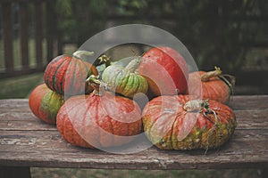 A group of large pumpkins on display for sale on a wood  table in the backyard