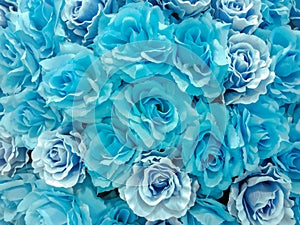 Group of Light Blue rose background