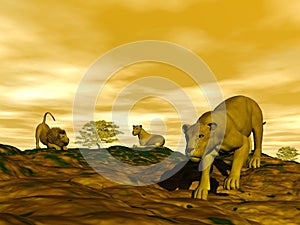 Group of lions in the savannah