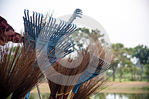 Group of long-handled brooms