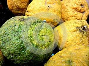 A group of loose, bulk tropical jamaican orange tangelo, ugly fruit