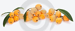 Group of loquat with leaf