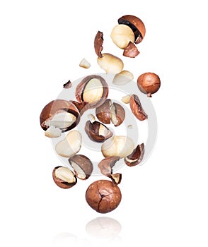 Group of macadamia nuts crushed in the air, isolated on white background