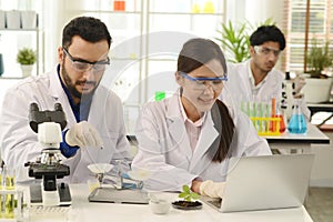 A group of male and female medical researchers working to analyze biochemical samples under a microscope in a laboratory.