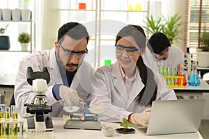 A group of male and female medical researchers working to analyze biochemical samples under a microscope in a laboratory.