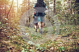 Group of man and women during hiking excursion in woods, walking while enjoying their journey